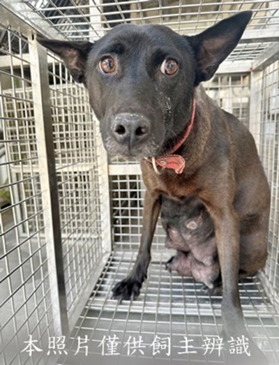 11502260011收愛4下