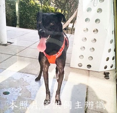 11502260014收棄拍拍