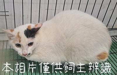 11502276001_3-11動保