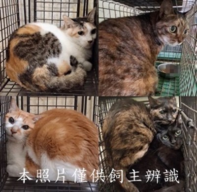 11502270004-8收-tile