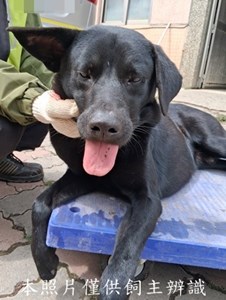 11503040005收-元23