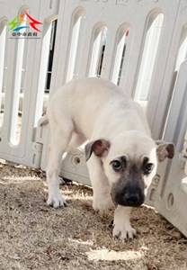 11501088003 東南 (3)