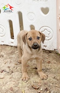 11501018007 東南 (1)