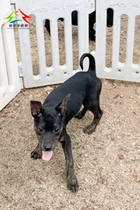 11501278008 東南 (2)