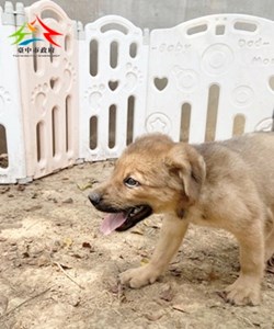 11501018008 聖心  (1)