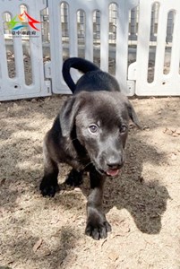 11501018005 聖心 (7)