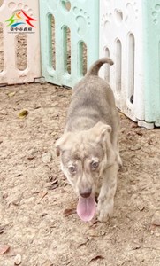 11501236004 聖心 (3)