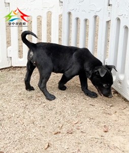 11501188012 安生 (2)