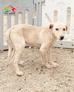 11412098018 安生 (3)