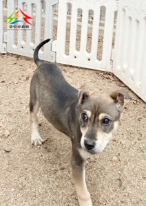 11501088004 安生 (1)