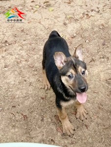 11501128010 安生 (1)