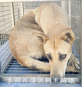 11503060016收愛2下