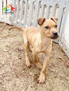 11501310010 田心 (1)