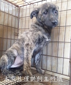 11503060022收-幼26