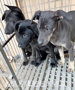 11503080013-15收E12