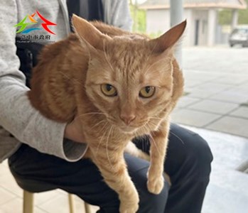 G5a9TGOC03rcrnC0HznGzg