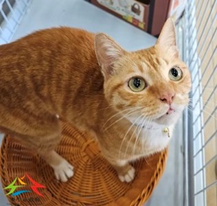 11501150011開-2 (3)