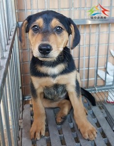 11502040009收-幼23