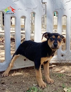 11503068010 大原 (3)