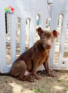 11501236005大原 (3)