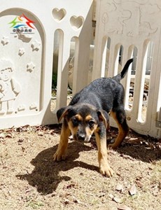 11503068011 大原 (2)