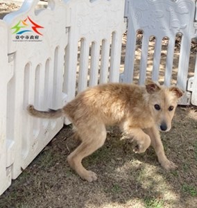 11412238007大原 (3)