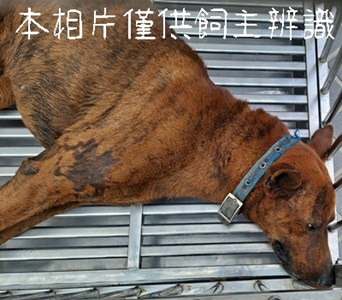 11503166002_4F2急難