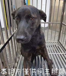 11503166003_4F20急難