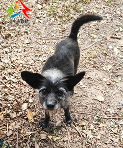 11502050006開35-4 (1)