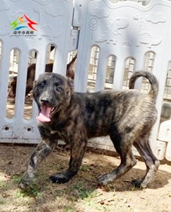 11503060022 中一 (3)