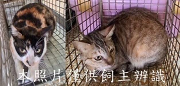 11503160008-9收-horz