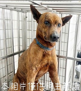 11503166002_4F7急難