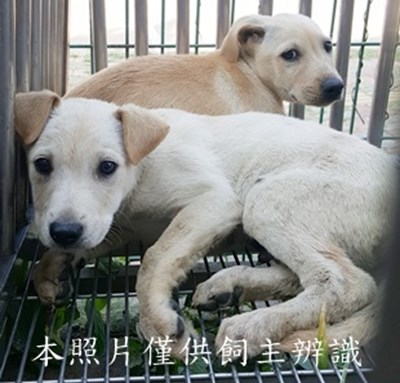 11503190020-21收-E20