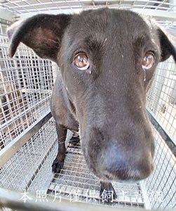 11503200014收-元21