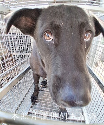 11503200014收-元21