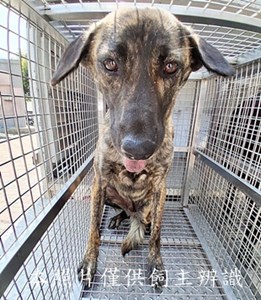 11503200015收-元21