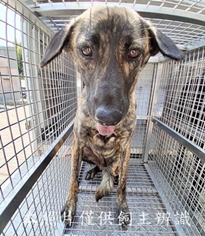 11503200015收-元21