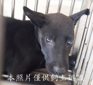 11503210013收-幼11