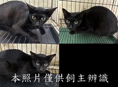 11503230011-13收-tile