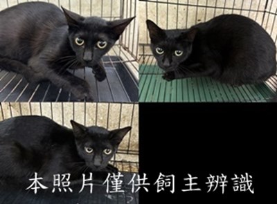 11503230011-13收-tile