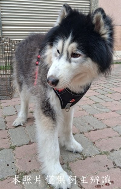 11503240024收-F40-3