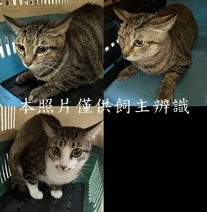 11503270001-3收-tile