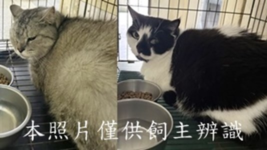 11503270004-5收-horz