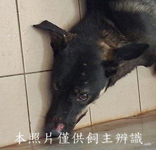 11503270025收-元18