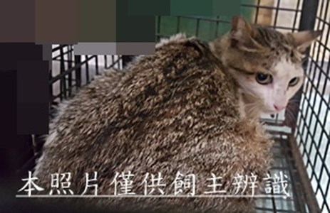 11503300010收-3 (2)