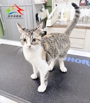 動物編號:S__30375960_0