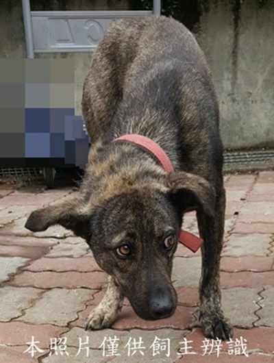 11504030006-1收-K。