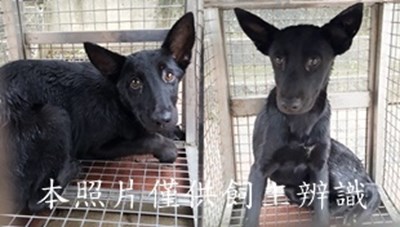 11504080012-13收-horz