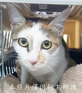 11504110011收-拾獲