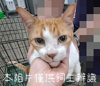 11504116008棄養_3-2